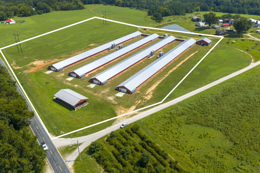 Transitioning Ventilation Systems: From Summer Cool-Pads to Fall Minimums